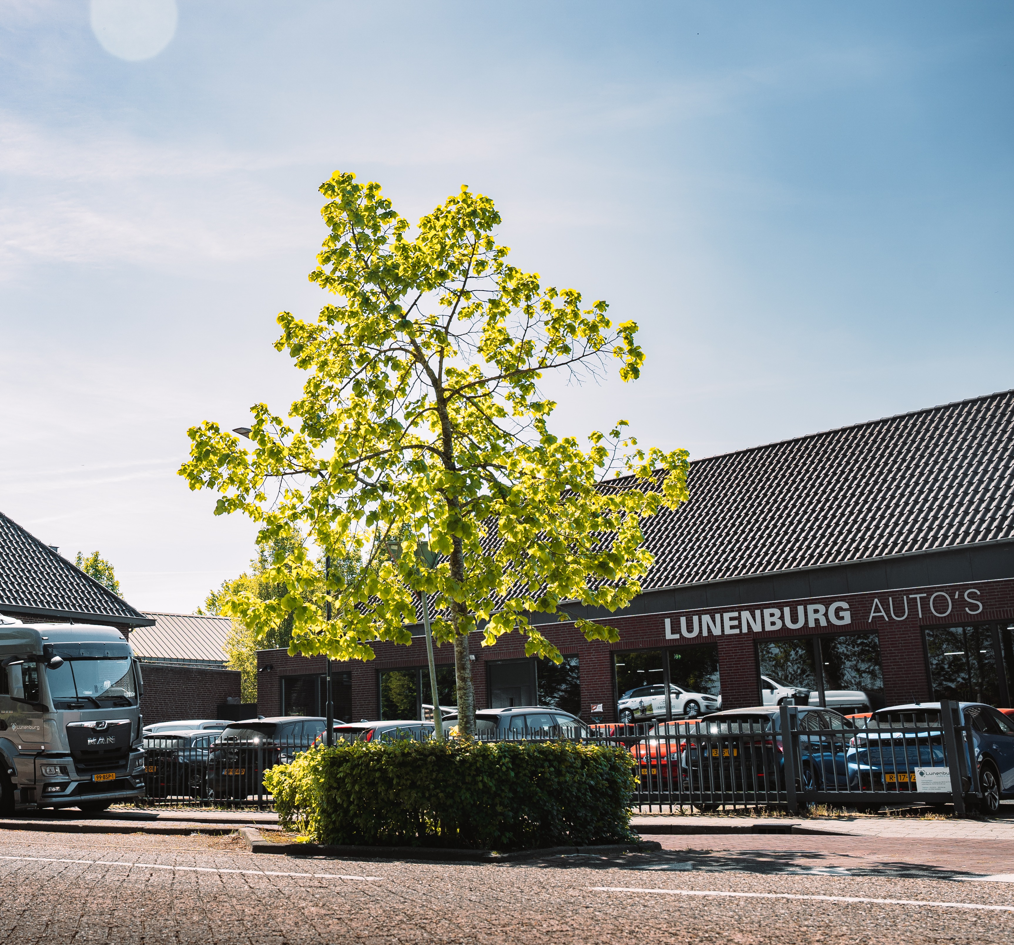 Gallery gallery_images_4_4_177884992074780961.jpg  | Lunenburg Auto’s
