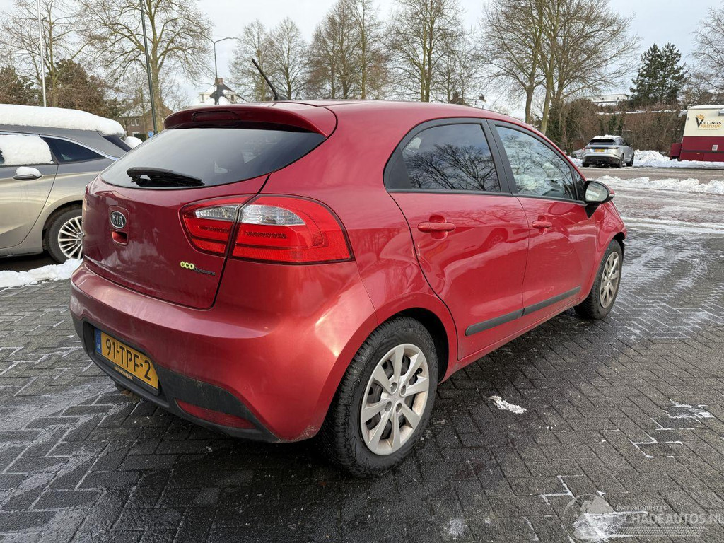50371825