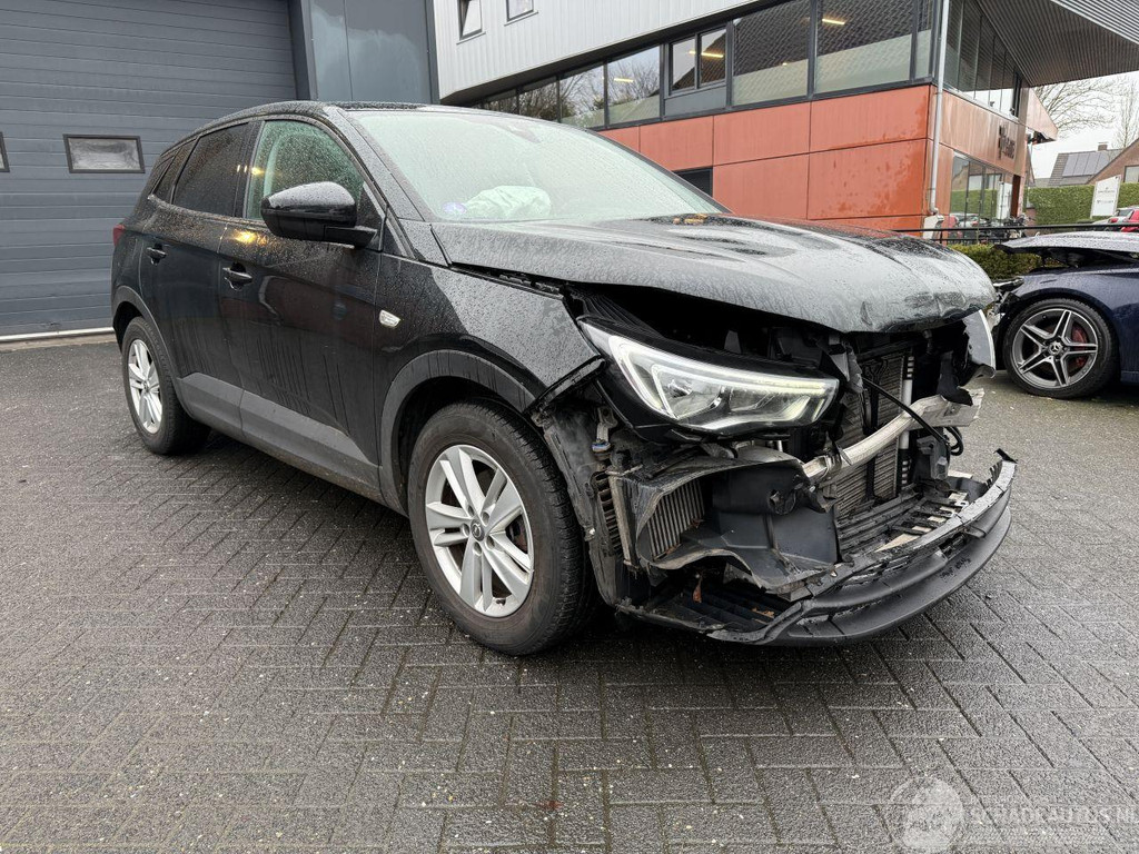 Opel Grandland 1.2 Turbo Online Edition (SUV 5-dr.) 51264311-2.jpg | Lunenburg Auto’s