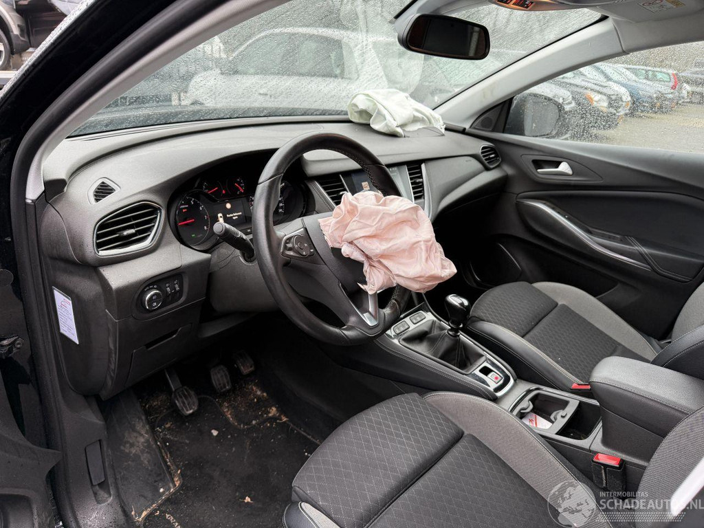 Opel Grandland 1.2 Turbo Online Edition (SUV 5-dr.) 51264311-4.jpg | Lunenburg Auto’s