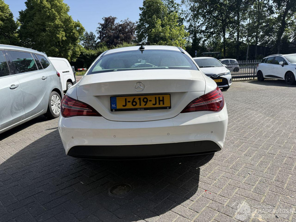 53681041-3.jpg