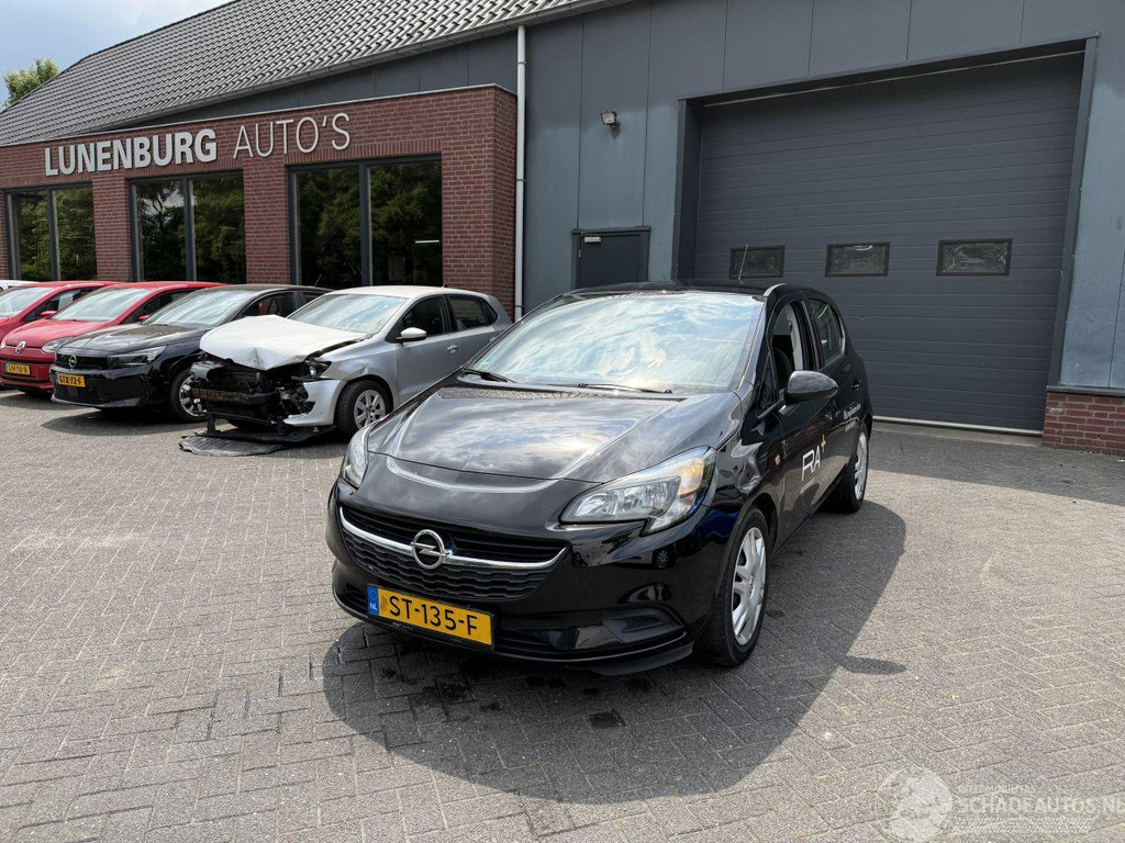 53954707