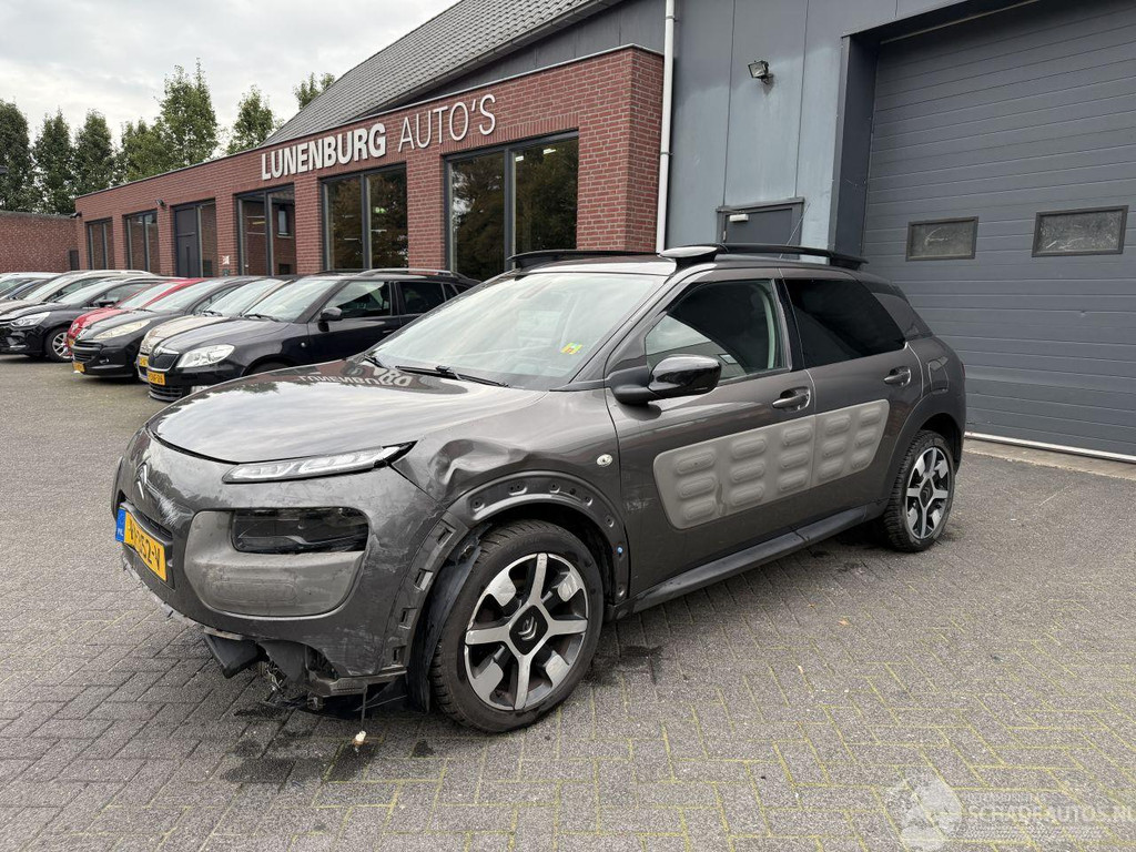 Citroën C4 Cactus 1.2 PureTech One-Tone (SUV 5-dr.) 57012655-0.jpg | Lunenburg Auto’s