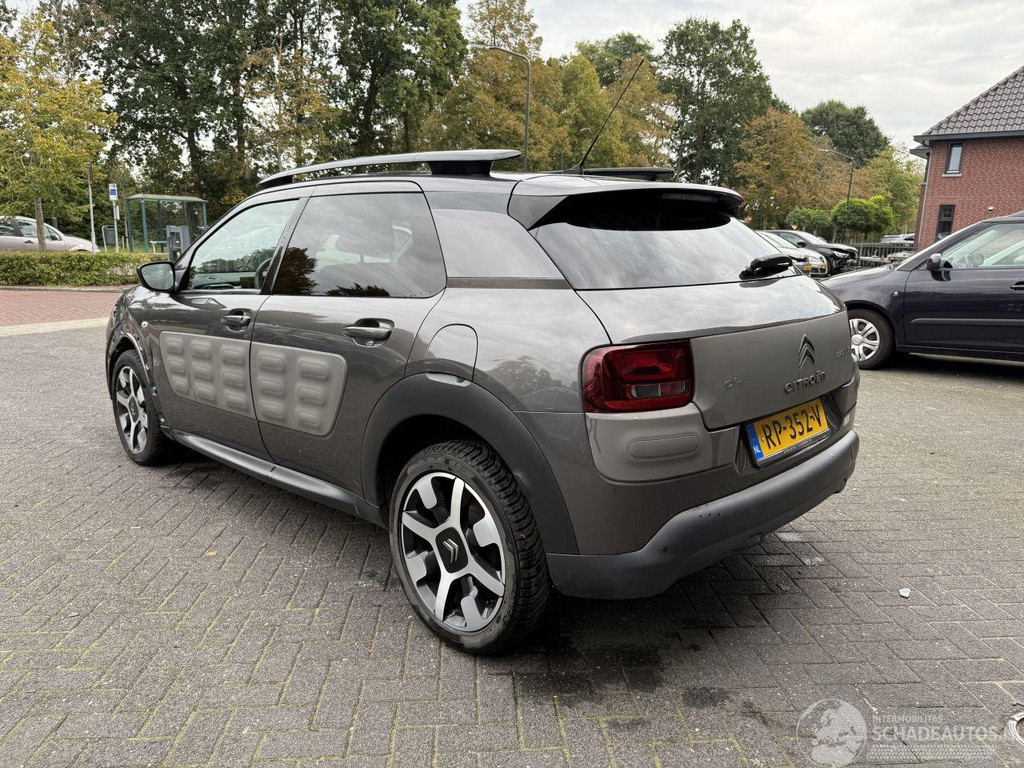 Citroën C4 Cactus 1.2 PureTech One-Tone (SUV 5-dr.) 57012655-2.jpg | Lunenburg Auto’s