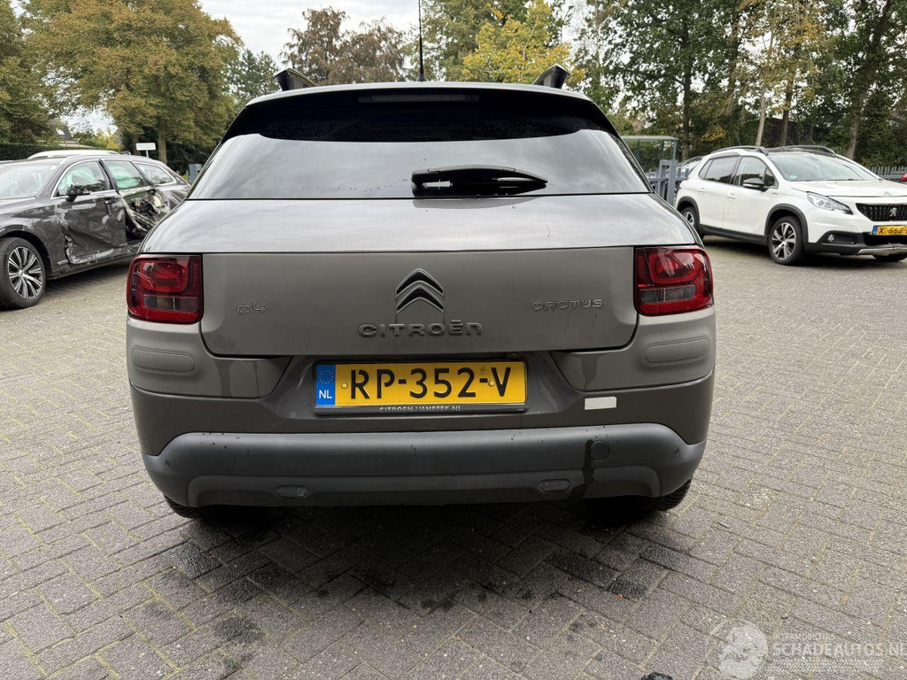 Citroën C4 Cactus 1.2 PureTech One-Tone (SUV 5-dr.) 57012655-3.jpg | Lunenburg Auto’s