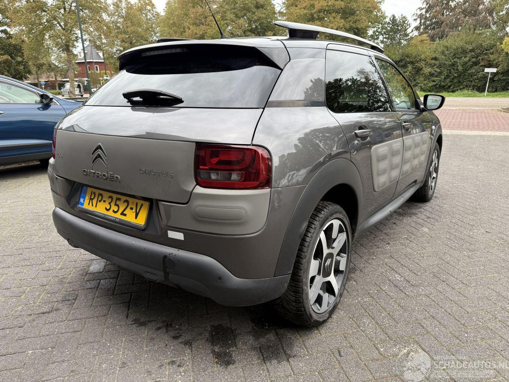 Citroën C4 Cactus 1.2 PureTech One-Tone (SUV 5-dr.) 57012655-4.jpg | Lunenburg Auto’s