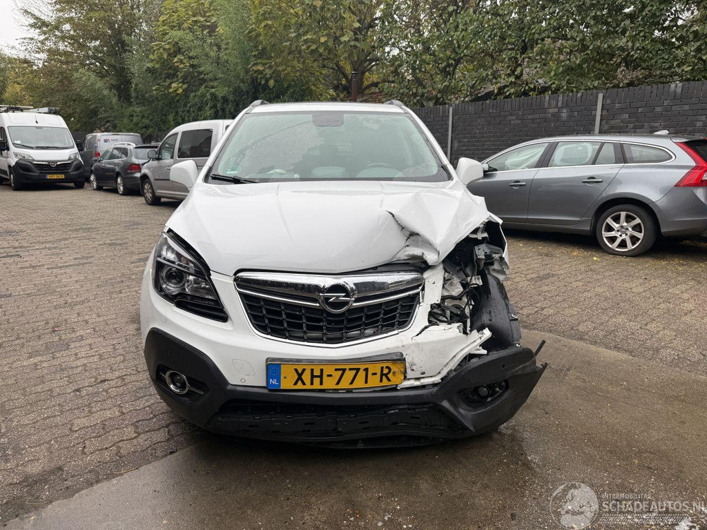 Opel Mokka 1.4 T Cosmo SCHUIFDAK LEER (SUV 5-dr.) 57386932-3.jpg | Lunenburg Auto’s